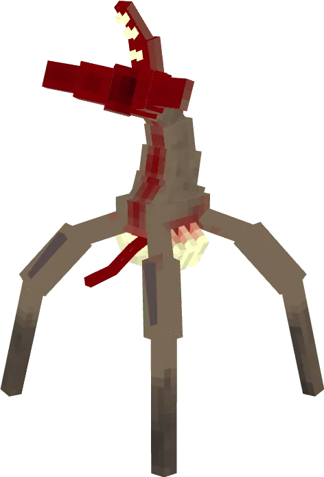 Arachnid