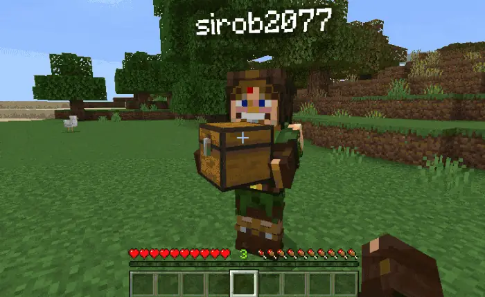 Stealing items from a block that someone is carrying