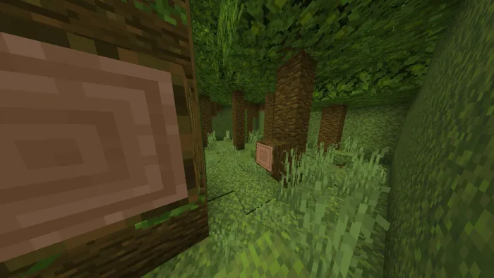 Stage 6 Screenshot
