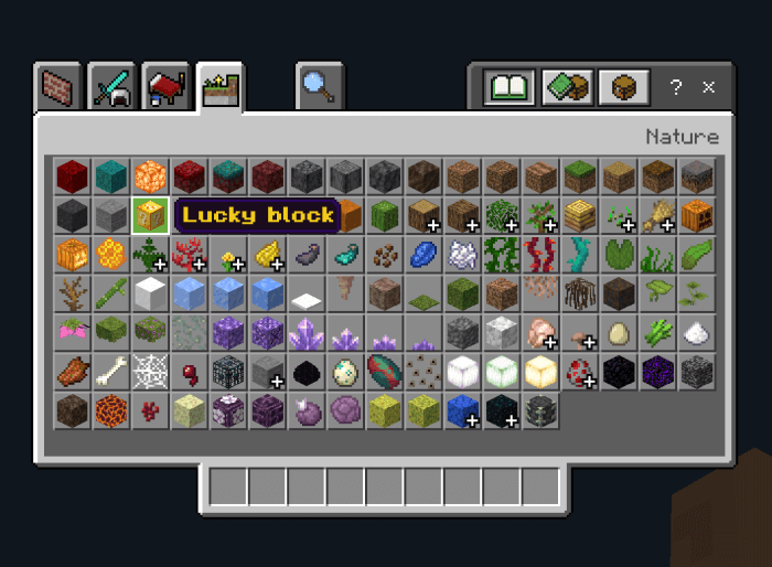 Lucky Block in the Inventory