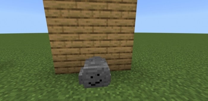 Pet Rock