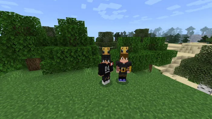 Bee Hat