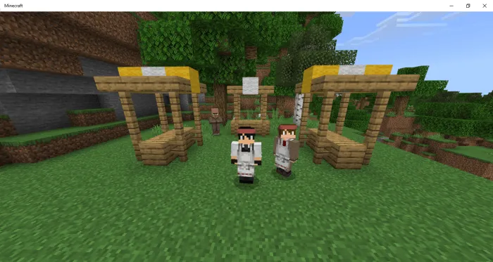 Butcher Villager Tunic