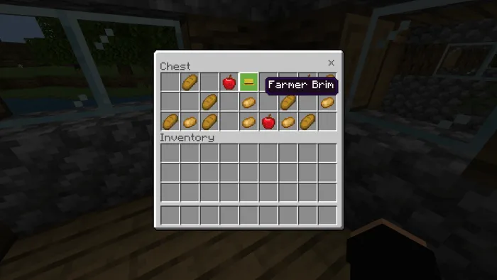 Farmer Villager Brim in chest