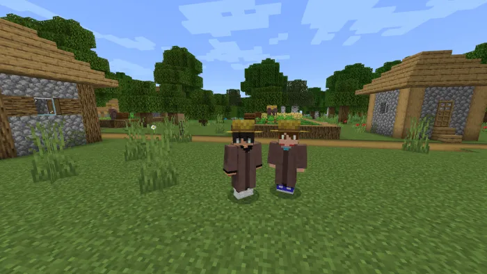 Farmer Villager Brim