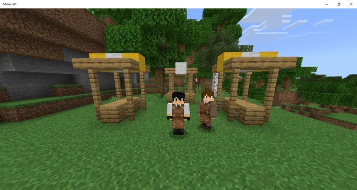 Leatherworker Villager Tunic