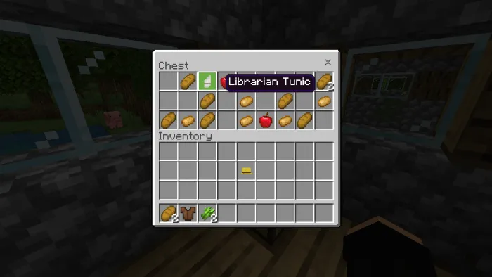 Librarian Villager Tunic in chest