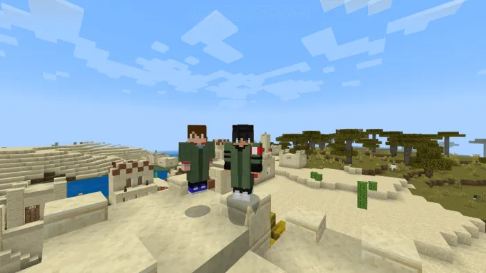 Nitwit Villager Tunic