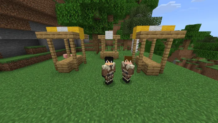 Taiga Villager Tunic
