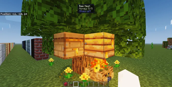 Honey in Bee Nests Display