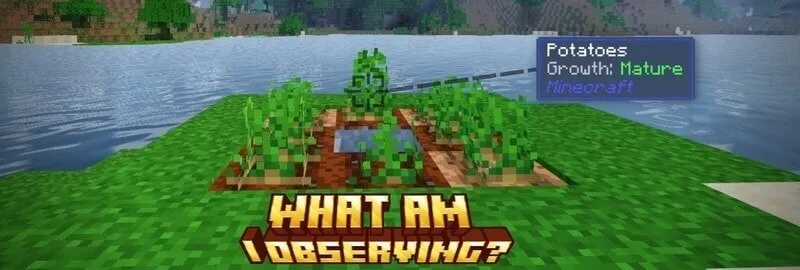 Thumbnail: What Am I Observing? (New Developer Mode)