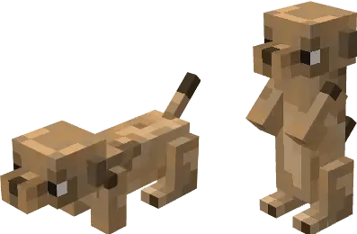Meerkat Models