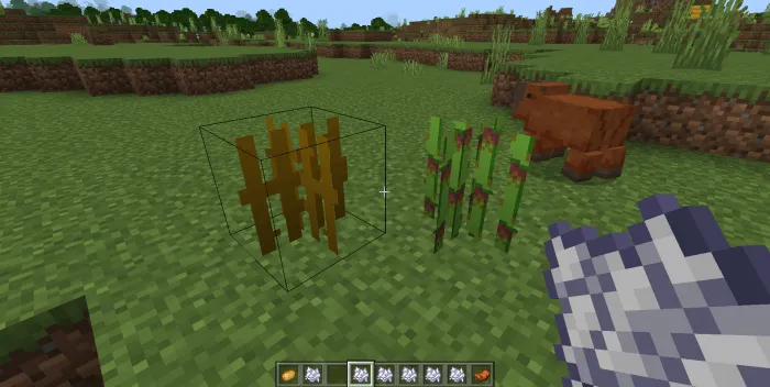 Planted Cinnamon
