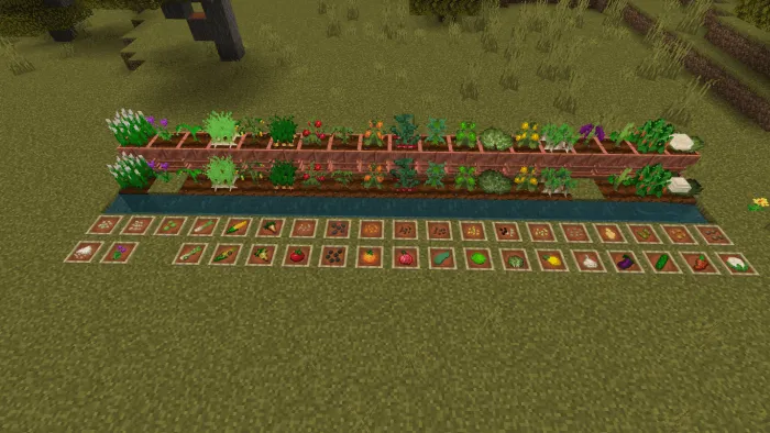 New Crops 1