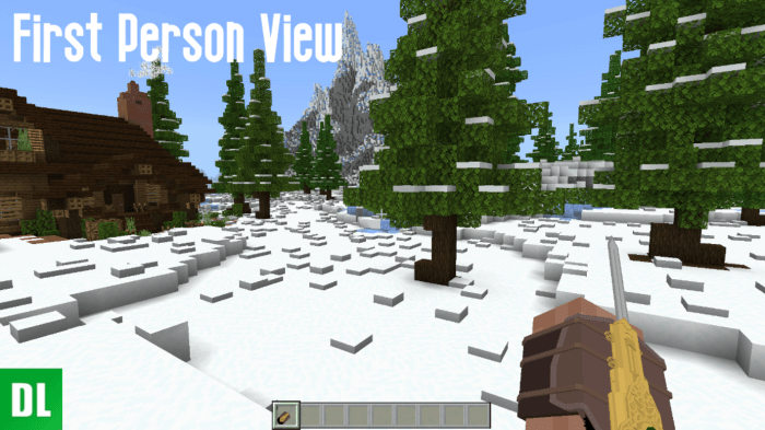 First Person View