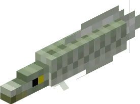 Arapaima 2