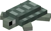 Arrau Turtle