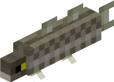 Atlantic Cod Fish