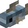 Atlantic Herring Fish