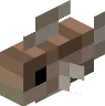 Brown Shrooma