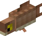 Carp Fish