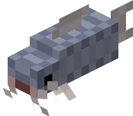 Catfish Fish