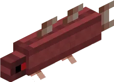 Red Grouper