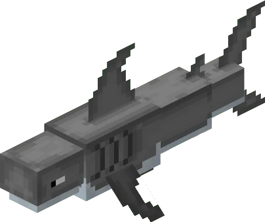 Shark