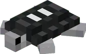 Starshell Turtle