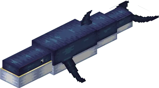 Whale