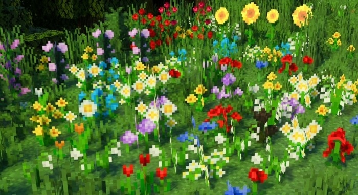 New Flower Variants