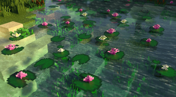 New Lily Pad Models