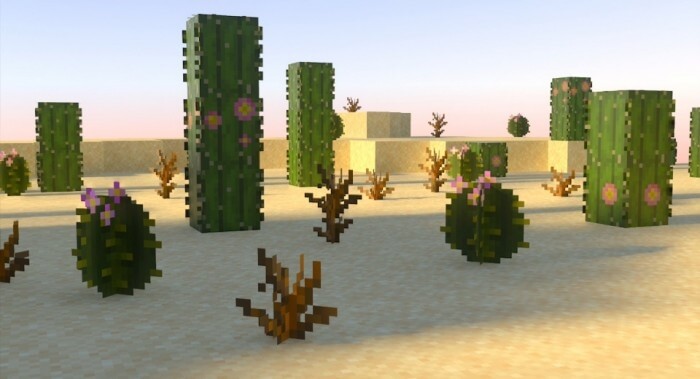 New Cacti and Deadbush Models