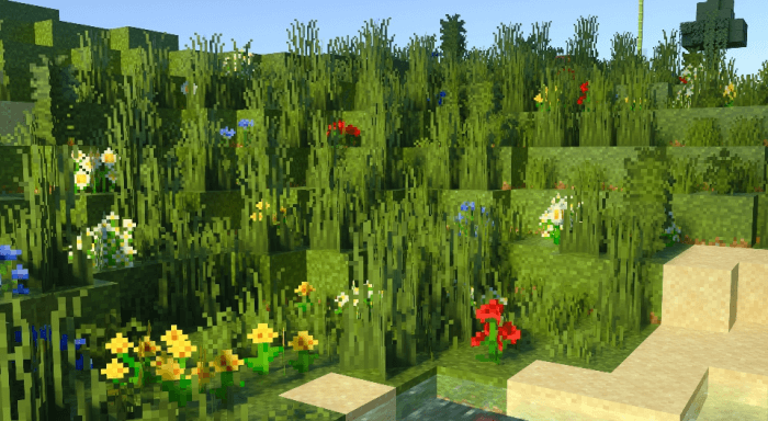 New Grass and Fern Variants