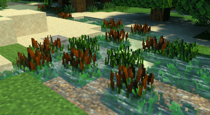 New Seagrass Models