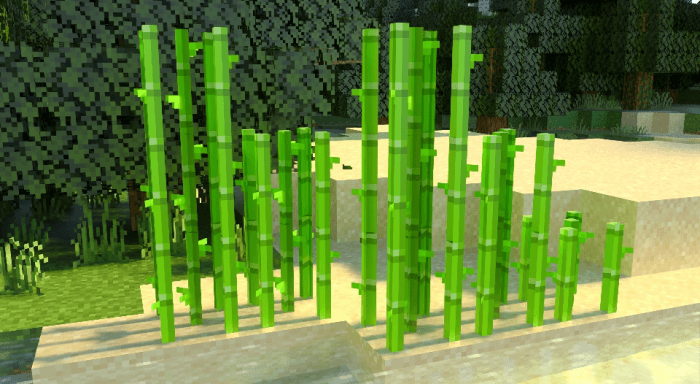 New Sugar Cane Models