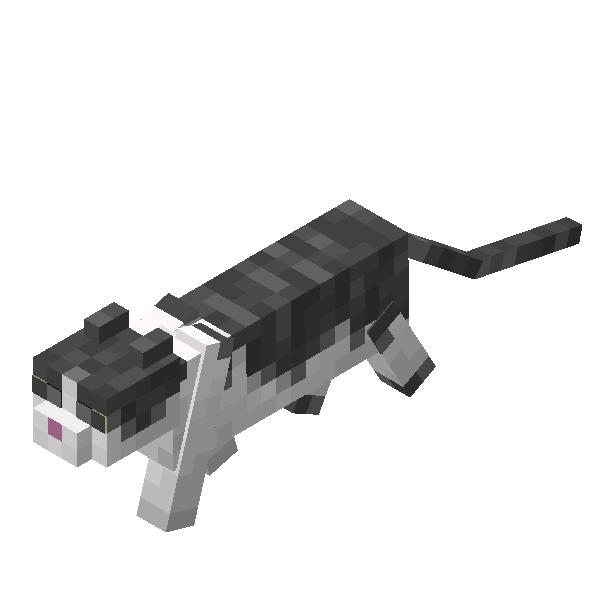 New cat walk animation