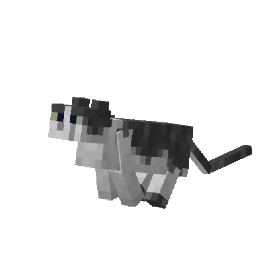 Cat run animation