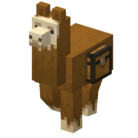 Llama walk animation
