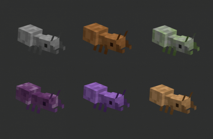 Silverfish and Endermite Variants 1