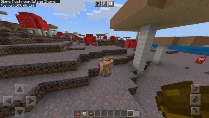 Mushroom Island Shore Biome