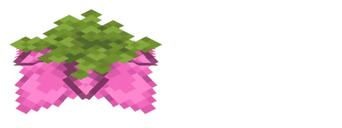 Spore Blossom