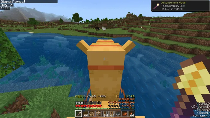 Coordinates HUD (Screenshot 1)