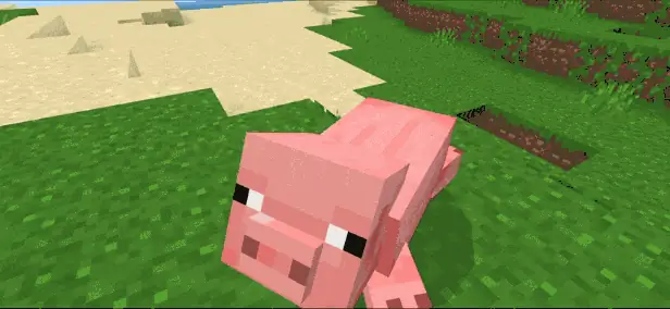 Pig Sat Down