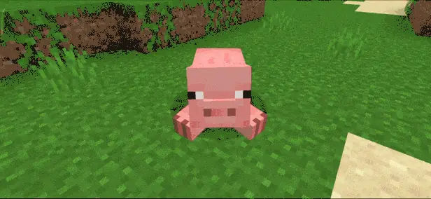 Pig Sitting Animation