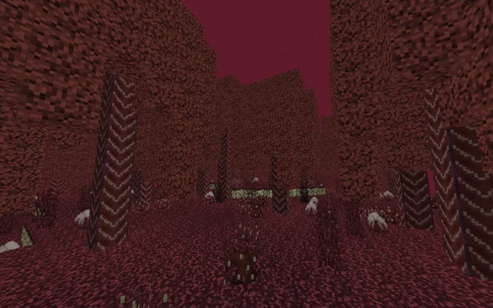 The Aphal Forest