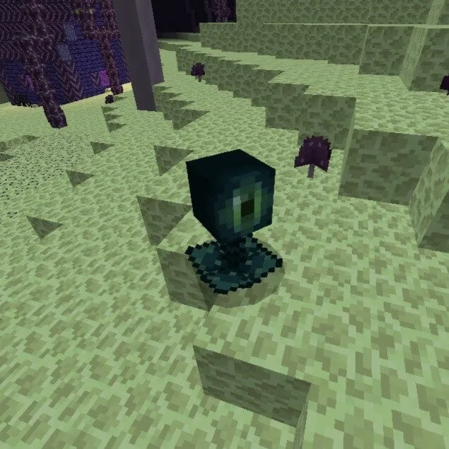 Watcher mob in the End