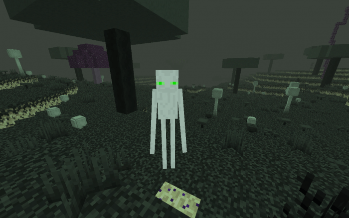 White Enderman