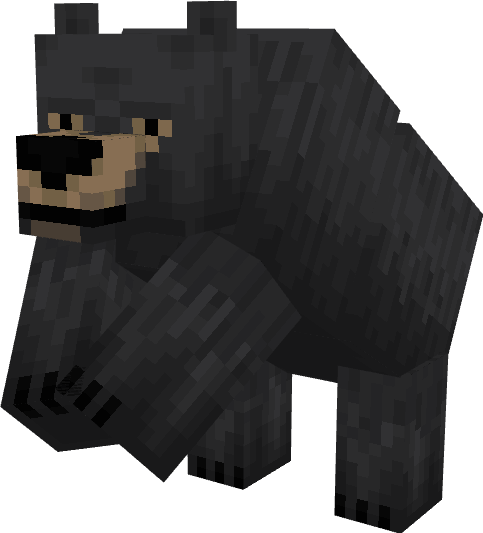 Black Bear: Screenshot