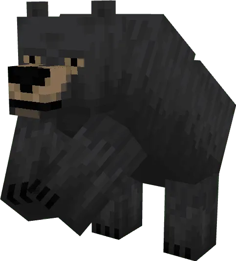 Black Bear: Screenshot